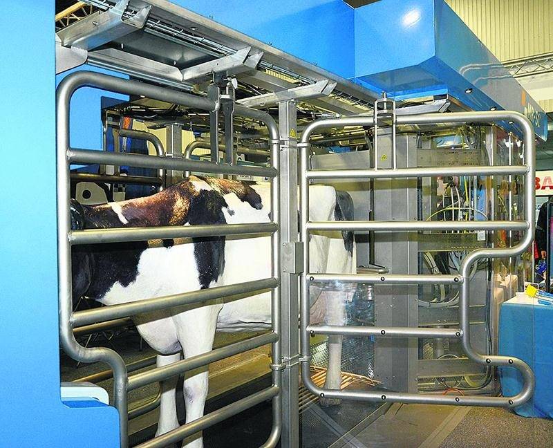 L’entreprise néerlandaise BouMatic Robotics propose une nouvelle approche de la traite robotisée. Le bras du robot s’approche de la vache entre les pattes de derrière et ainsi sécurise davantage l’animal durant la traite. Une caméra 3D haute définition permet de déterminer avec précision la position des trayons et de déposer les gobelets de traite. Photo François Larivière | Le Courrier ©