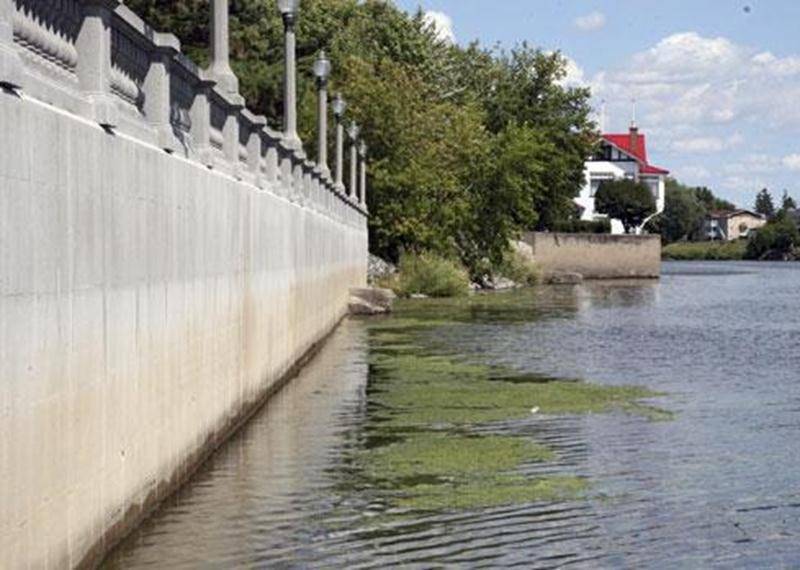 Après des semaines de temps chaud et sec, la rivière Yamaska n'est pas à son meilleur à Saint-Hyacinthe et la Ville a diffusé à ce sujet deux directives. D'abord, en raison de l'apparition d'algues bleues, elle a fermé le Centre nautique le 3 août et a interdit jusqu'à nouvel ordre la pratique des activités nautiques sur la rivière (canot, pédalo, kayak, rabaska, petites embarcations à moteur, ski nautique et planche) afin d'empêcher les contacts avec l'eau et les algues. D'autre part, le faible
