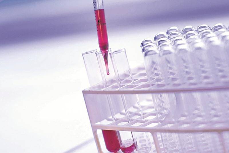 Il n’y aurait pas de place à Charles-Lemoyne pour accueillir le laboratoire centralisé. Photo : Pixabay
