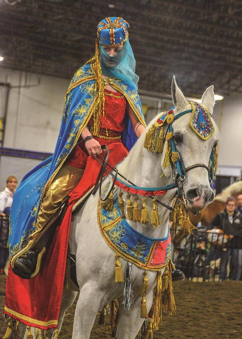Près de 200 chevaux de toutes races étaient réunis au Pavillon des Pionniers, plusieurs défilant devant les visiteurs pour des présentations leur faisant découvrir différents types de chevaux.