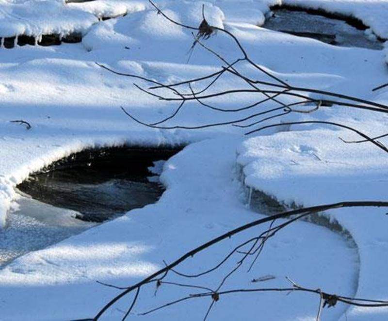 La vie l’hiver… Par temps froid, l’anthropomorphisme qui attribue des comportements humains aux animaux est une voie facile pour expliquer les agissements de certains animaux, mais qu’en est-il vraiment? Pourra-t-on déceler un peu de vie par une journée certainement froide de février? Nous apprendrons aussi à identifier certains arbres par l'observation de leurs bourgeons. Point de rencontre dès 9 h au stationnement de la rue Brouillette. Tarif : contribution volontaire et gratuité pour les memb