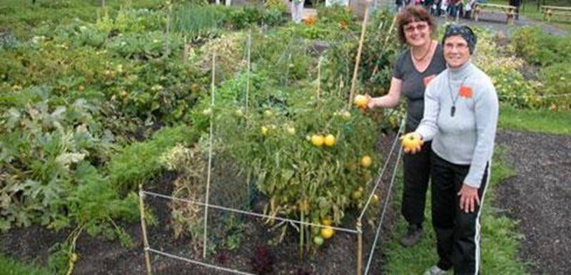 Parcelles de jardin à louer pour jardiniers amateurs lors de l’assemblée générale annuelle de l’Association Jardin-Communautaire de Saint-Hyacinthe le dimanche 4 mai, à 9 h 30, à la salle Sacré-Coeur (2 e étage) du Centre aquatique Desjardins (850, rue Turcot). La carte « Accès-Loisirs » valide est nécessaire pour la location de terrains. Pour information, écrire à Julie Fréchette à frechettejulie@cgocable.ca ou par téléphone au 450 768-4340.