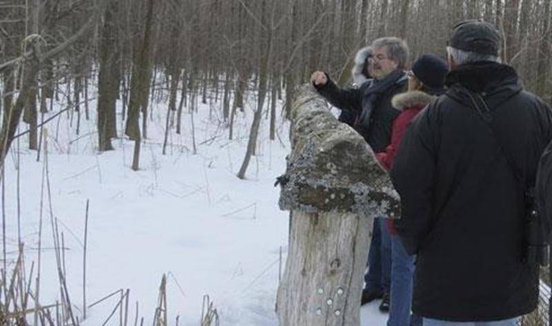 À la recherche des lichens. Fruticuleux, foliacés et crustacés… trois formes communes de lichens. Tous ces genres et bien d'autres s'observent au Boisé-des-Douze. Si nous savons les identifier, saurons-nous les trouver? Et si nous étions capables de trouver des espèces plus rares de cet univers captivant! Débutant ou expert, n'hésitez pas à vous joindre au groupe. C'est avec plaisir que nous apprenons les uns des autres. Point de rencontre : stationnement de la rue Brouillette dès 9 h. Tarif : c