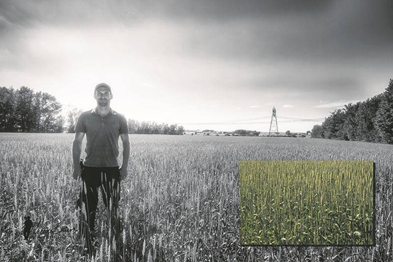 Toujours à la recherche de nouveautés pour améliorer ses cultures tout en protégeant l’environnement, cet agriculteur fait l’essai d’un semis à la volée. Tout comme le semis direct, cette méthode de culture favorise le maintien d’une bonne vie microbienne dans le sol. Photo Hélène Brien | MRC ©