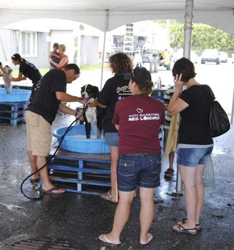 Oven-Baked Tradition, la marque haut de gamme de nourriture pour chiens et chats, tiendra son troisième Lave-Eau-Chien le samedi 11 août, de 10 h à 16 h, beau temps, mauvais temps, sous un chapiteau dans le stationnement de l'entreprise de Bio Biscuit à Saint-Hyacinthe, au 5505, avenue Trudeau. Les employés de Bio Biscuit et l'équipe Oven-Baked Tradition du 24 hrs de Tremblant se réuniront une fois de plus pour venir en aide aux enfants malades. Ceux-ci, avec l’aide des commanditaires et des com
