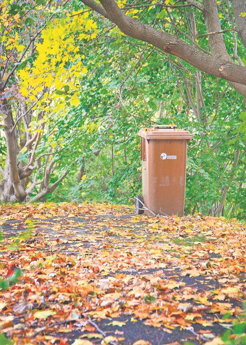 Les feuilles mortes sont sans valeur pour la biométhanisation, et les bacs bruns en contiennent trop en automne. Photo Robert Gosselin | Le Courrier ©
