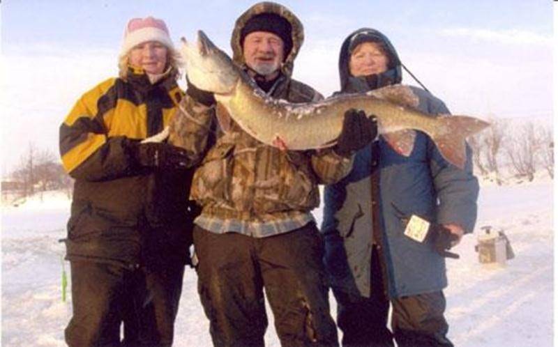 Le 8 janvier, Louise Meunier, Jean Martin et Diane Chagnon ont sorti de l'eau, après 45 minutes de travail acharné, un Maskinongé pesant 22 livres et mesurant 44 pouces de la rivière Yamaska à la hauteur de Saint-Damase. Mme Meunier avait par ailleurs déjà attrapé un autre Maskinongé d'une douzaine de livres la semaine précédente au même endroit.