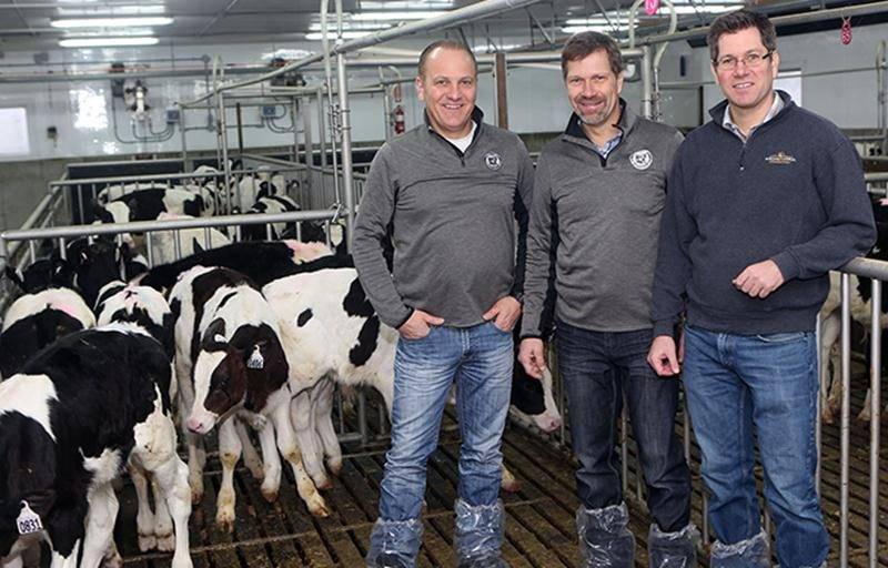 Les frères Donald, Fabien et Alexandre Fontaine, copropriétaires de Délimax, sont sur le point d’acquérir les activités veaux d’Écolait, leur principal concurrent au Québec. Photothèque | Le Courrier ©