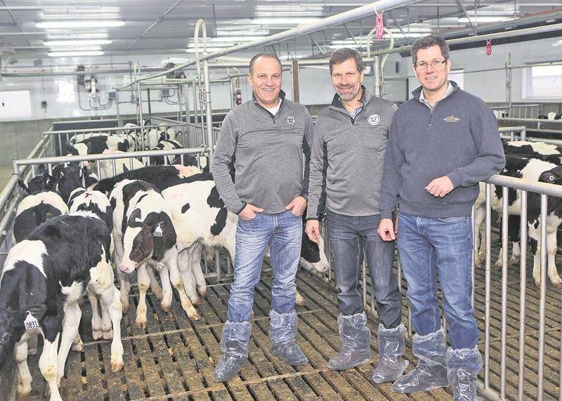 Les frères Donald, Fabien et Alexandre Fontaine, copropriétaires de Délimax, sont sur le point d’acquérir les activités veaux d’Écolait, leur principal concurrent au Québec. Photothèque | Le Courrier ©